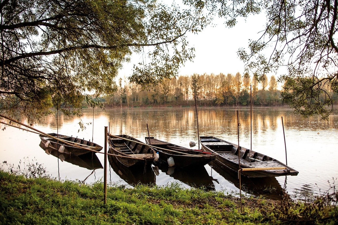 water, nature, tree, river, wood, barque sur la loire, france